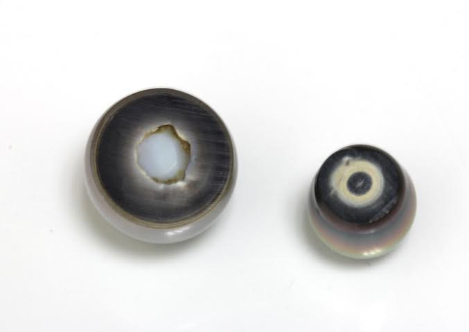 مقطع برشخورده مروارید؛ نمایش هسته و ضخامت لایه صدف (نَکر) در دو نمونه